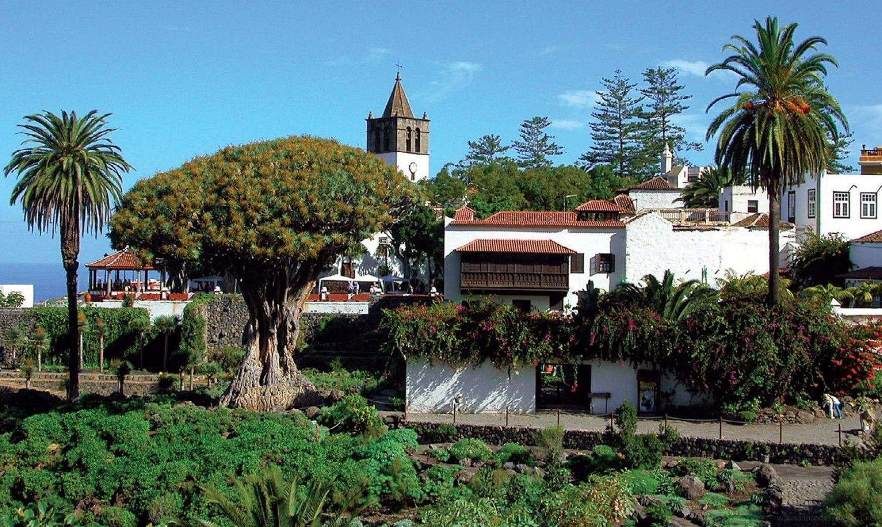 Finca Aurora Ecorural Icod De Los Vinos Exterior foto